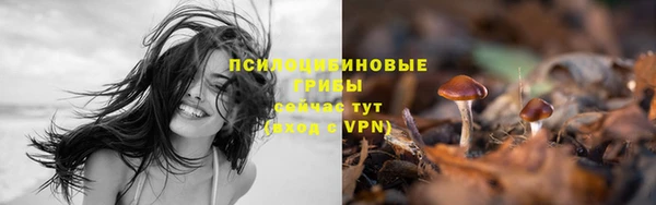 MDMA Медвежьегорск