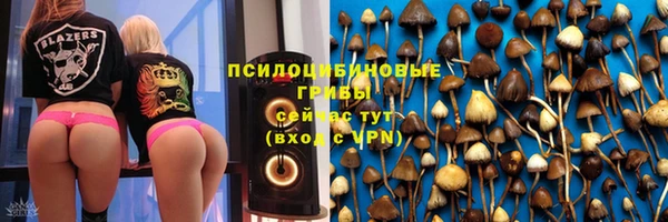 MDMA Медвежьегорск