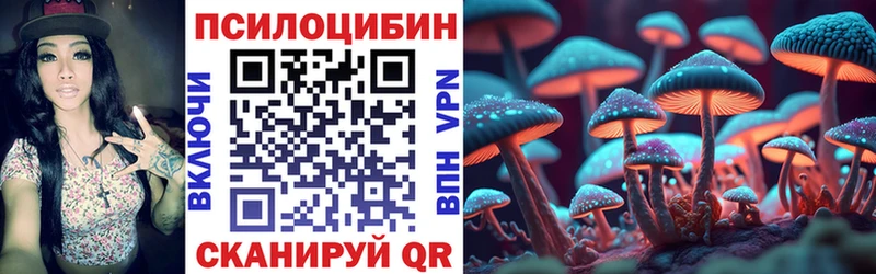 Купить закладки  Петровск  Галлюциногенные грибы GOLDEN TEACHER 
