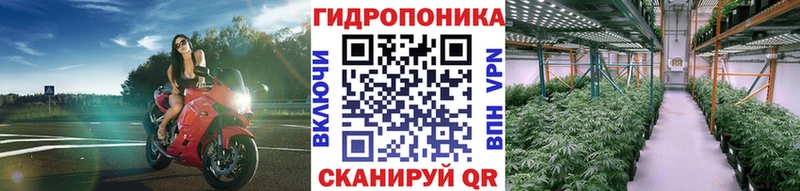Канабис OG Kush  Купить закладки  Петровск 